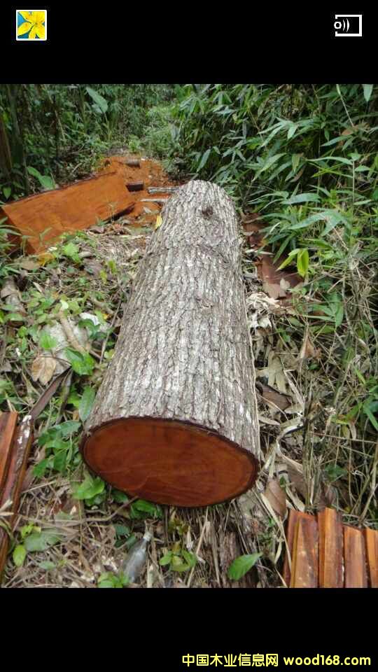 �����e�tľ��Ԕ����B