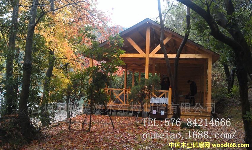 ���^(q��)ľ�ݵ�Ԕ����B