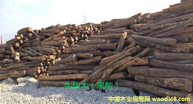 ţ��ľ��Ԕ��(x��)��B