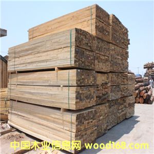 �����ɰ����ľ�� �����ɰ�� �S��ֱ�N ���˴��N��Ԕ��(x��)��B