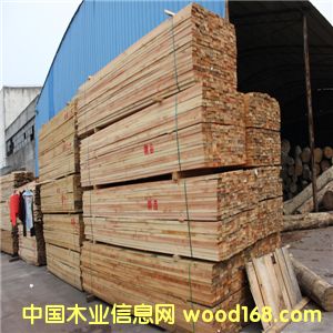 ���l(f��)��(y��u)�|(zh��)�����ɿ�������ġ�ľ���� �����M(j��n)�ڻ����ɵ�Ԕ��(x��)��B