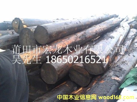 ��ɼԭľ��Ԕ����B