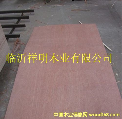 ���ǹ����z�ϰ�