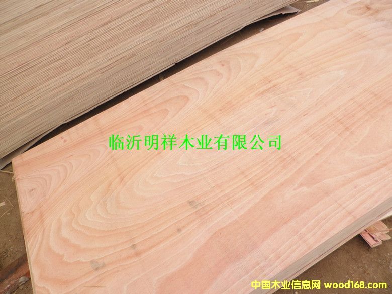 ����(y��ng)5���z�ϰ�