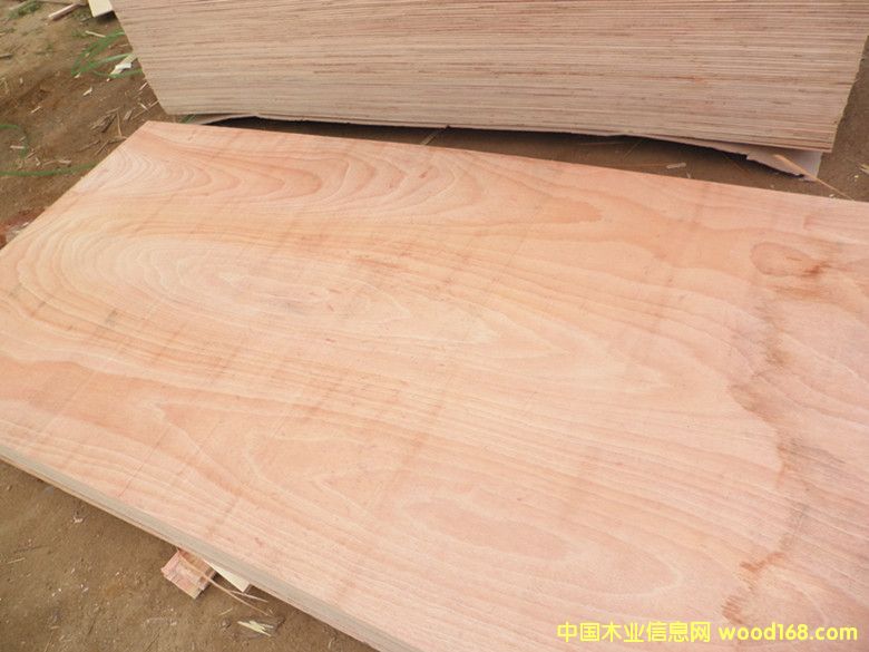 �����ձ��һ�о