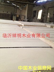 Ư�����z�ϰ�