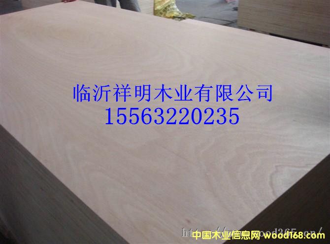 �z�ϰ�18����b���бP���Ԕ��(x��)��B