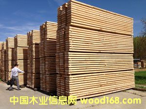 25MM���COL��(j��) �ؼ�(j��) A��(j��)ݗ���ɺ�ɰ�ĵ�Ԕ��(x��)��B