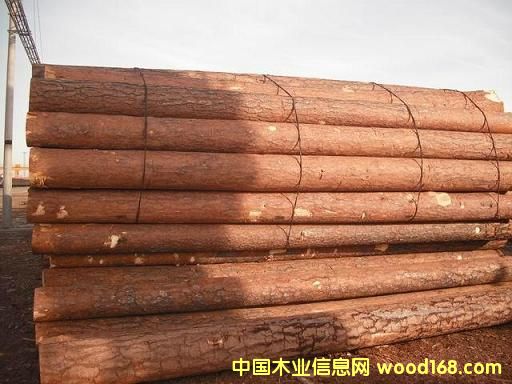 �����ɵ�Ԕ��(x��)��B