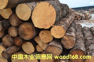 �B�Tľ���Ј��ӹ��Fɼ