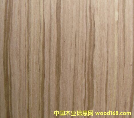 ��ľ8��Ԕ����B