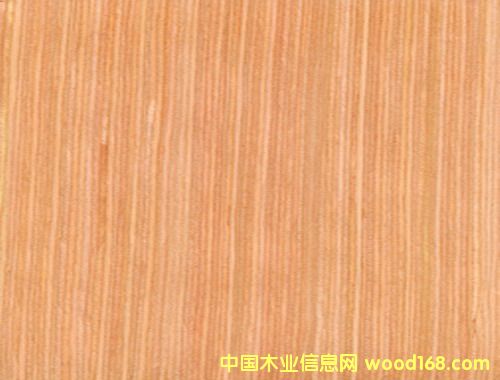 ��Դ�Ƽ�ľƤ��Ԕ����B