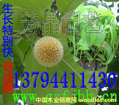 �c(di��n)���鿴�F(tu��n)����(sh��)�� �S��ľ�� ���E��(sh��)��Ŵ�DƬ