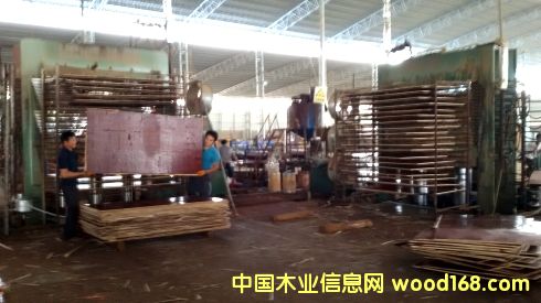 �V��һ������ģ���Ԕ��(x��)��B