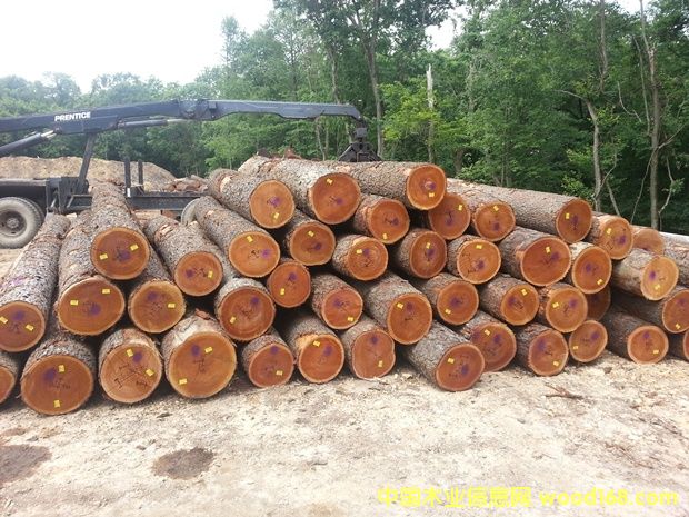 ��������ľԭľ��Ԕ����B