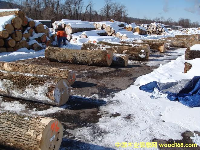 �����M(j��n)�ڰ�Ϟ