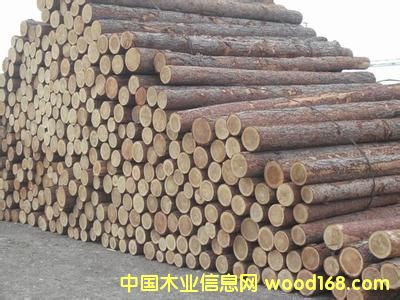 ���~��ԭľ��Ԕ����B