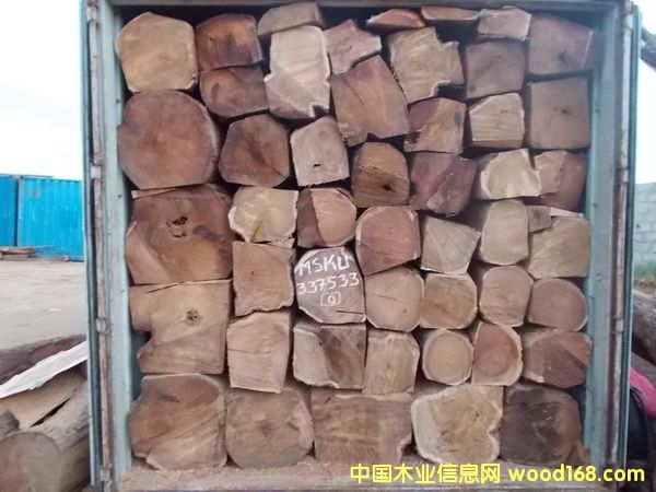 刺猬紫檀的詳細(xì)介紹