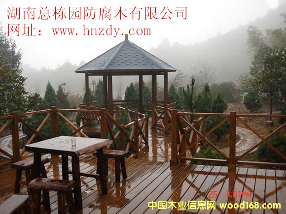 ����ľ�ڗU