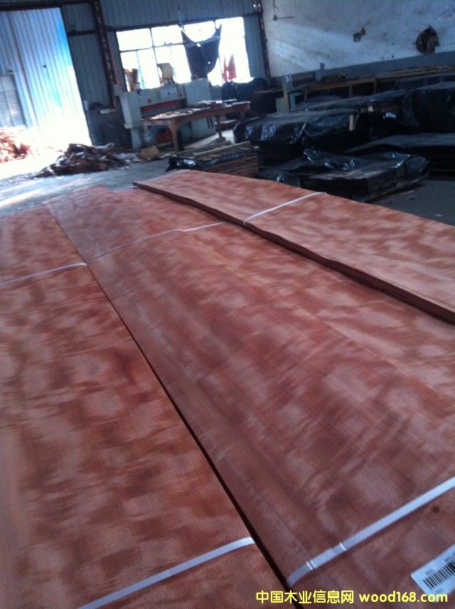 ������Ӱ ��(qi��ng)Ӱ �b�ľƤ