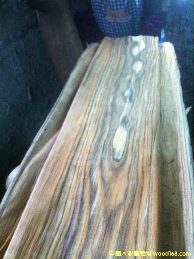 ������ľľƤ  �Ҿ�ľƤ��Ԕ��(x��)��B