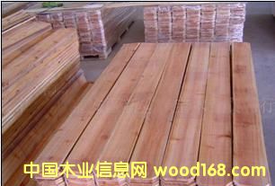 �c���鿴�t����ľ�o�ڰ�ĵ�Ԕ���Y��