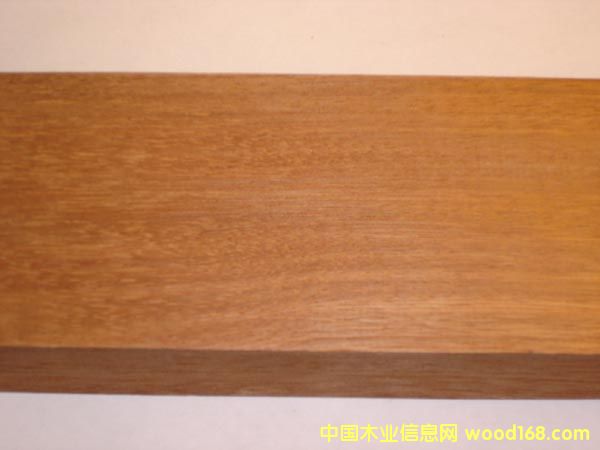 �c(di��n)���鿴��ľ��B ��ľ���⽨���ĵ�Ԕ��(x��)�Y��