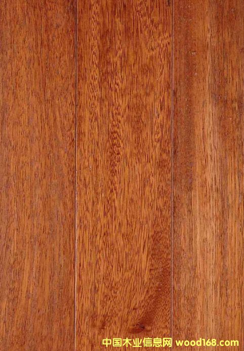 �c���鿴ɽ�|���}��r���Ԕ��(x��)�Y��