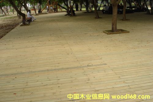 �c���鿴�̈́�ľ�������ľ��Ԕ��(x��)�Y��