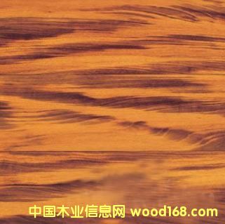 �c���鿴��ľ��B ��ľ��;��Ԕ���Y��