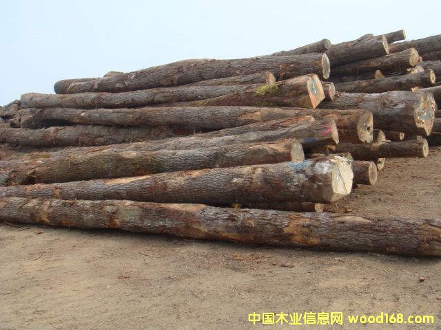 �W�ް����Ԕ����B