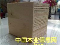 ľ����Ԕ��(x��)��B