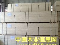 ��Ѭ����