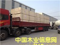 ��Ѭ��ľ����Ԕ��(x��)��B