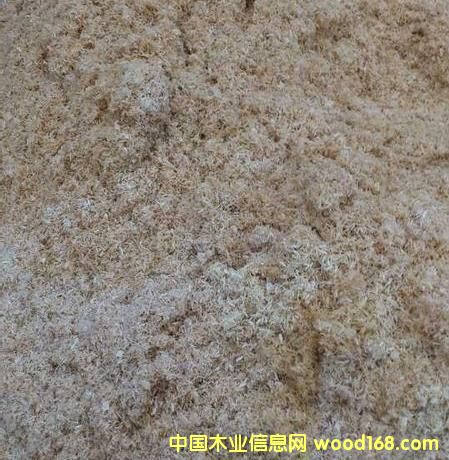 ��ľ��м��Ԕ����B