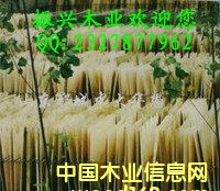 ��ľо���Ԕ��(x��)��B