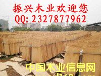 ��ľо���Ԕ��(x��)��B