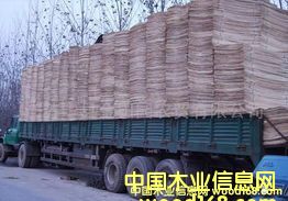 ��ľ�Aо��Ԕ��(x��)��B