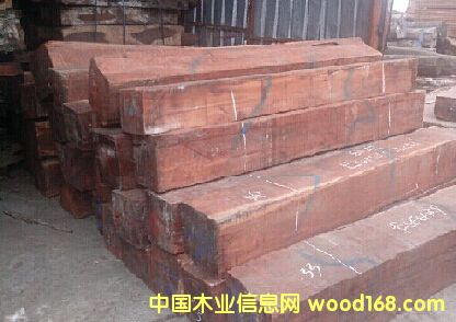 ����կ  ��܇(ch��)�����Ԕ��(x��)��B