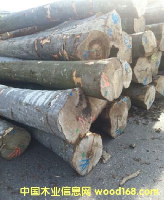 ��(gu��)  ��ľ��Ԕ��(x��)��B