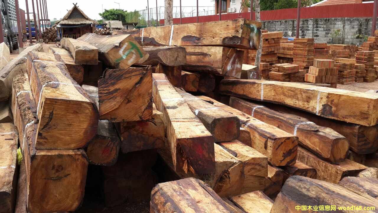 �L�ڹ���(y��ng)�ϓ뻨�棨�����̴����Ԕ����B