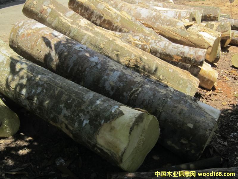 �Sͩľ��Ԕ��(x��)��B