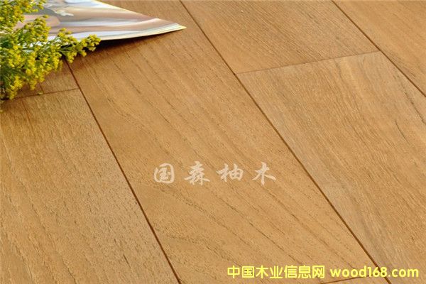 �V�݇�(gu��)ɭ��ľ�ذ��Ԕ��(x��)��B