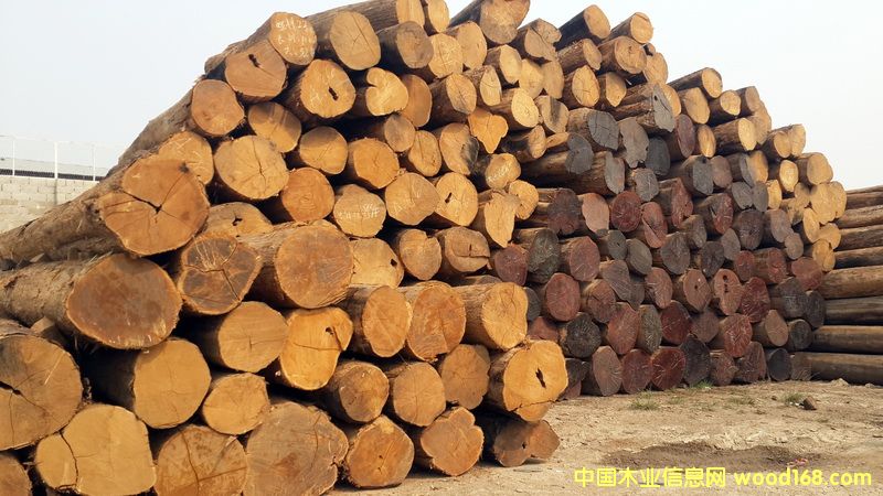 ������ľԭľ��Ԕ��(x��)��B