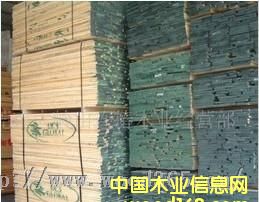 �c(di��n)���鿴��������ľ�Ŵ�DƬ