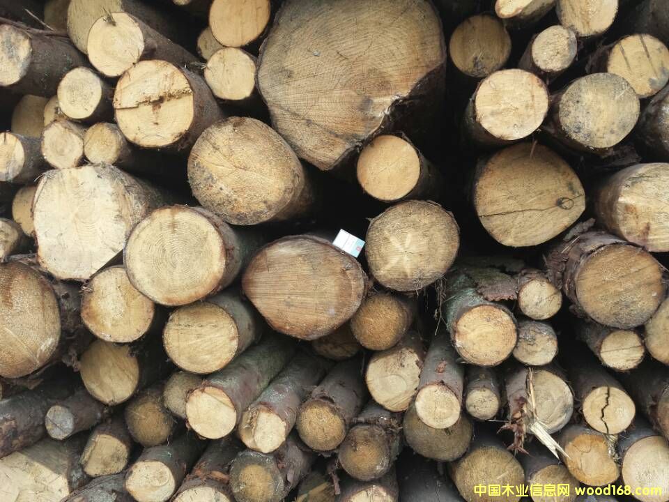 �W����ɼԭľ