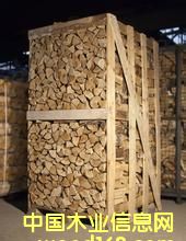 �c(di��n)���鿴ľ��Ŵ�DƬ