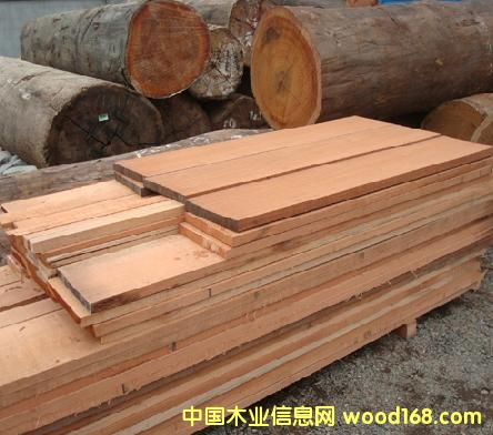 ����ľ����ľ��Ԕ����B