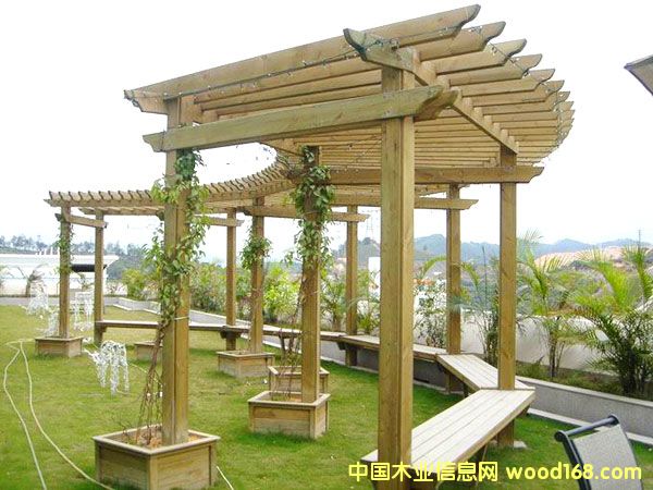 ����ľ������