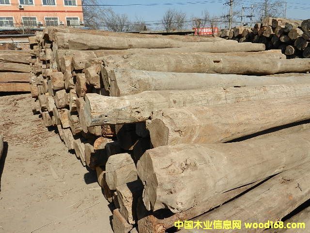 ��ľ��Ԕ��(x��)��B